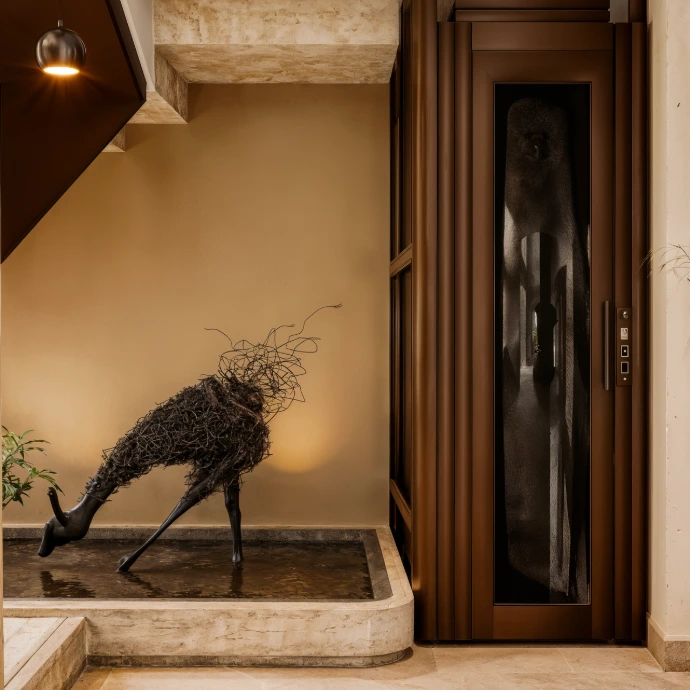 Hall d’Ascenseur Contemporain / Lobby de Ascensor Contemporáneo